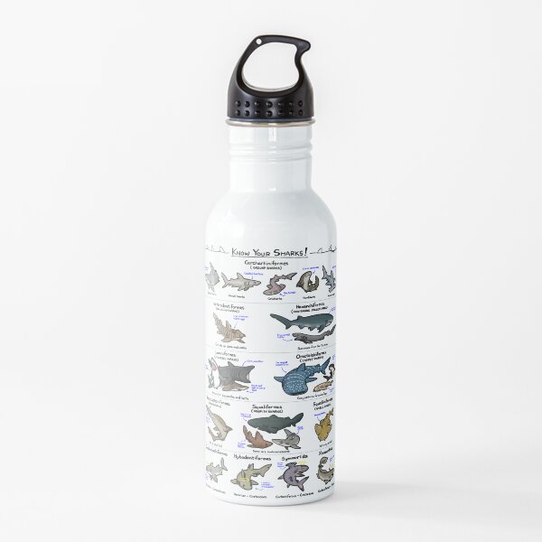 Illustrated Guide to Sharks Water Bottle