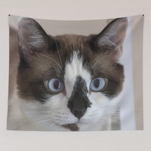 Item preview, Curious Snowshoe Cat designed and sold by Elisabeth Lucas.