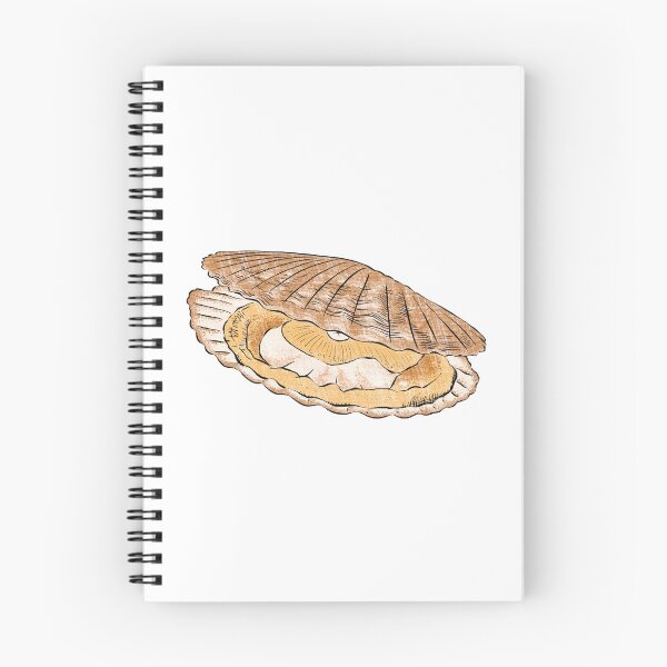 Item preview, Illustration of Fresh Scallop designed and sold by iswenyi.