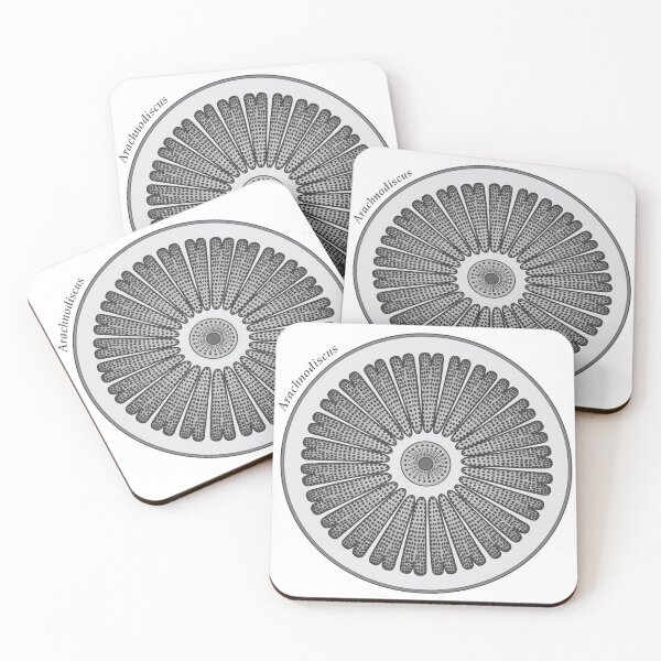 Item preview, Diatom - Arachnodiscus (scientific) designed and sold by DiatomsATTACK.