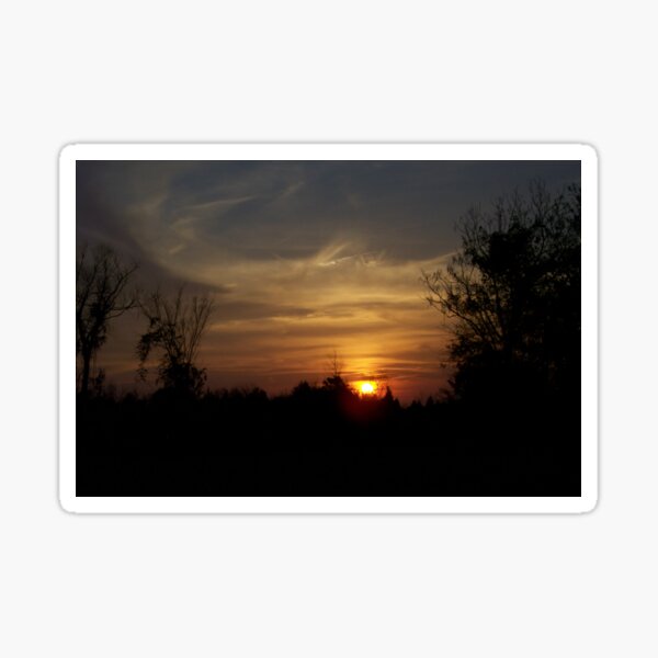 Beautiful sunset on the waterfront Sticker