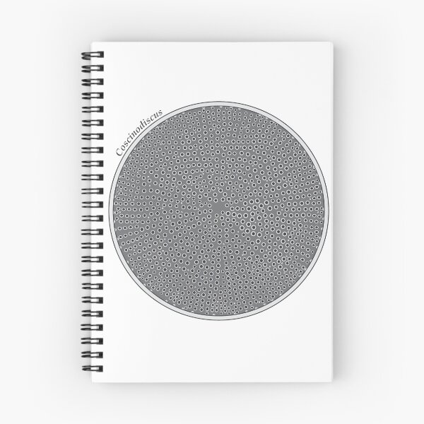 Item preview, Diatom - Coscinodiscus (scientific) designed and sold by DiatomsATTACK.