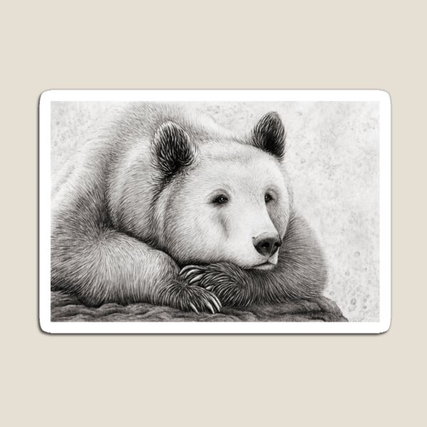Brooding Bear Magnet