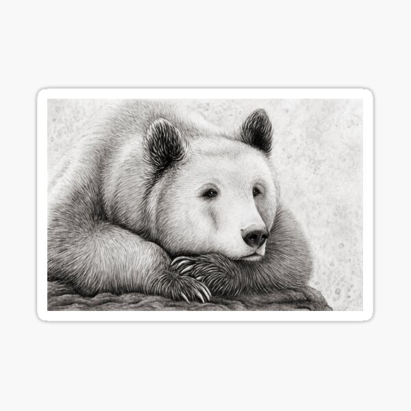 Brooding Bear Sticker