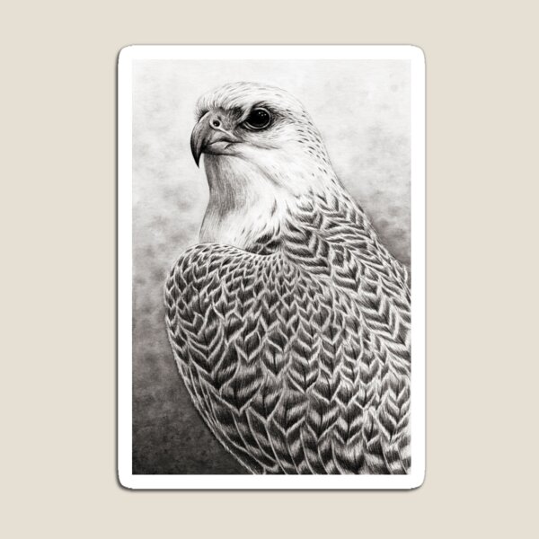 The Gyrfalcon Magnet