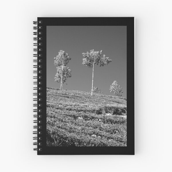 Item preview, SKN 6771 Standing Tall. B/W designed and sold by Sunil Kapadia.