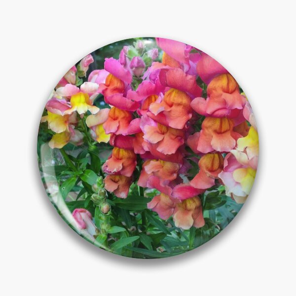 Item preview, Snapdragons designed and sold by polyhymnia14.