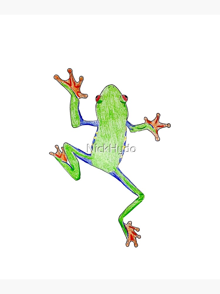 Disover Hand-drawn Red Eyed Tree Frog Premium Matte Vertical Poster