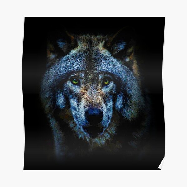 Wandbilder Blue Eyes Wolf Redbubble