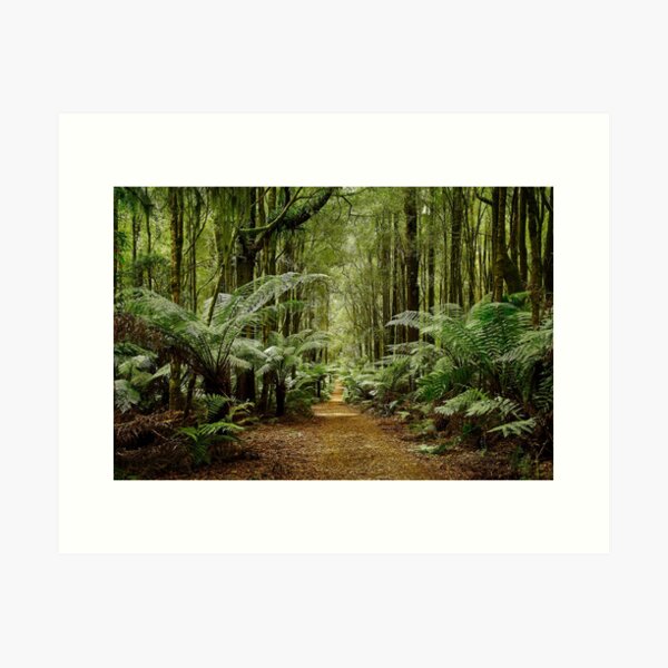 Item preview, Rainforest Paradise designed and sold by Catherine Reading.