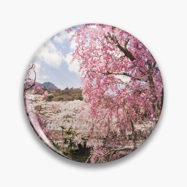 Item preview, Blossoms on blossoms - Cherry Blossoms in Japan designed and sold by Norman Repacholi | Keystone Photography.