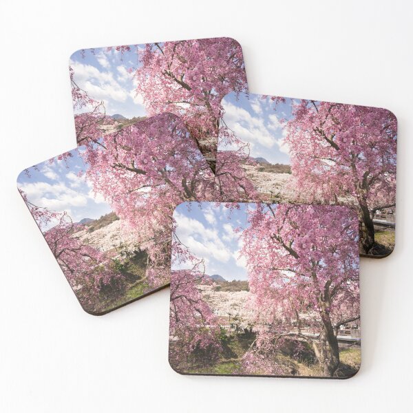 Item preview, Blossoms on blossoms - Cherry Blossoms in Japan designed and sold by Norman Repacholi | Keystone Photography.