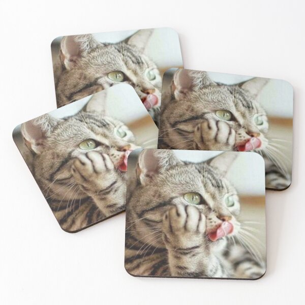 Item preview, Beautiful cat designed and sold by aysha Irshad.