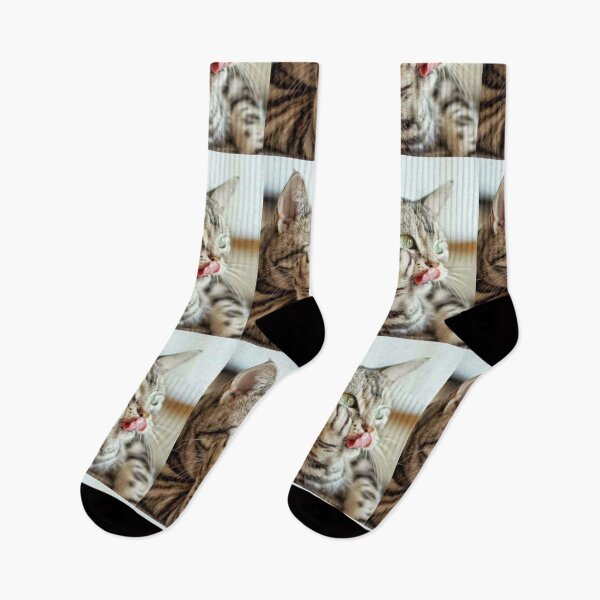 Item preview, Beautiful cat designed and sold by aysha Irshad.