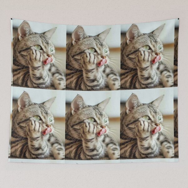 Item preview, Beautiful cat designed and sold by aysha Irshad.