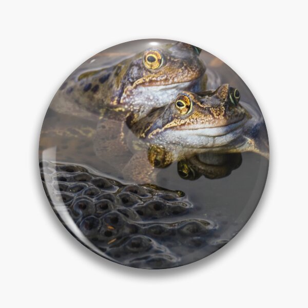 Item preview, Spring Pond Life. designed and sold by John Ray.