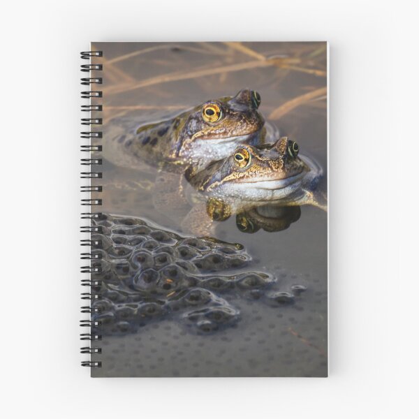 Item preview, Spring Pond Life. designed and sold by John Ray.