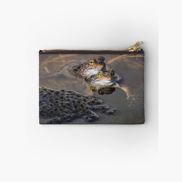 Item preview, Spring Pond Life. designed and sold by John Ray.