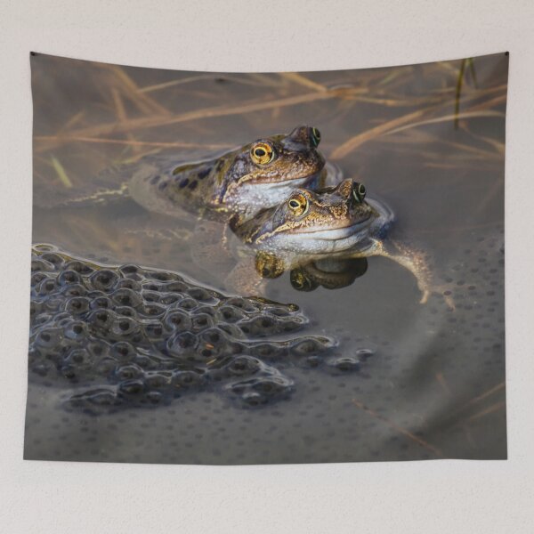 Item preview, Spring Pond Life. designed and sold by John Ray.