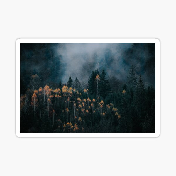 Foggy Carpathians Sticker