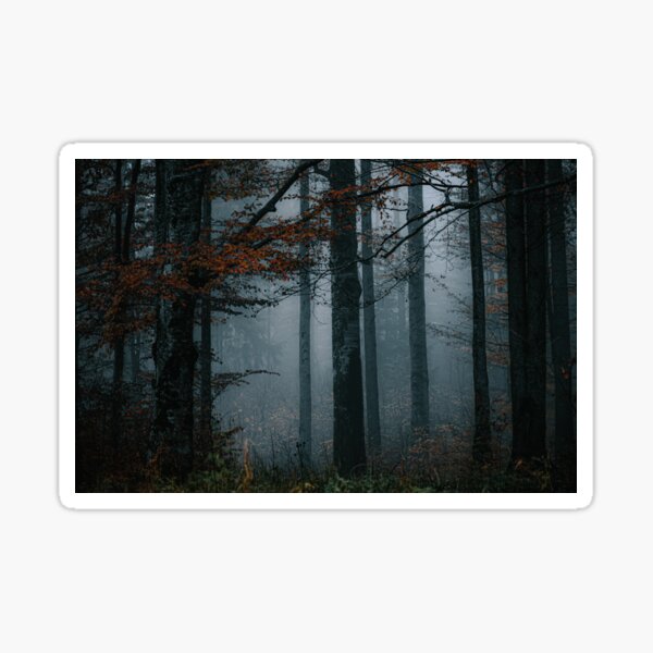 Hidden Path Sticker