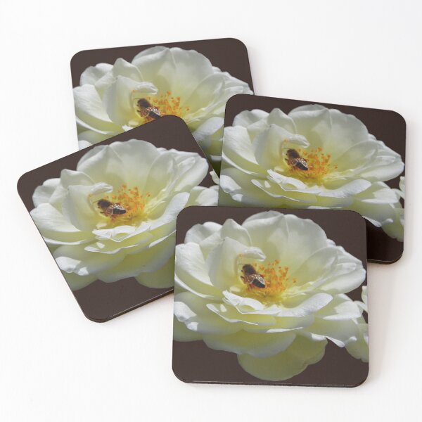 Iceberg Rose with Bee - II Coasters (Set of 4)