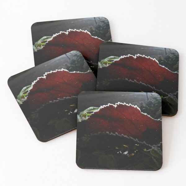 Item preview, Frosted Fall  designed and sold by ImagineInfinity.