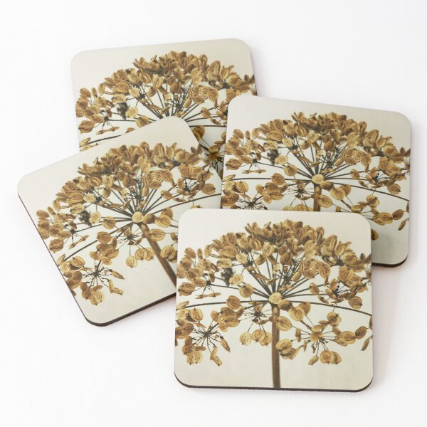Item preview, Seedhead Photo designed and sold by Squirrels-Leap.