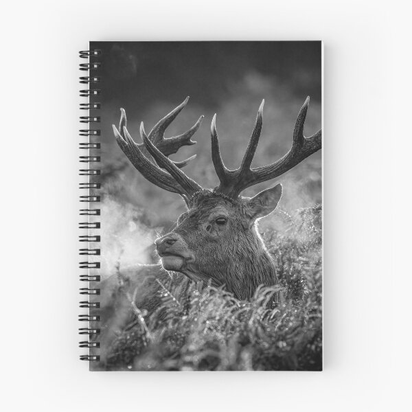 Item preview, Red Deer Stag designed and sold by Steve Liptrot Photography.