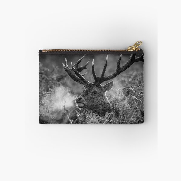 Item preview, Red Deer Stag designed and sold by Steve Liptrot Photography.