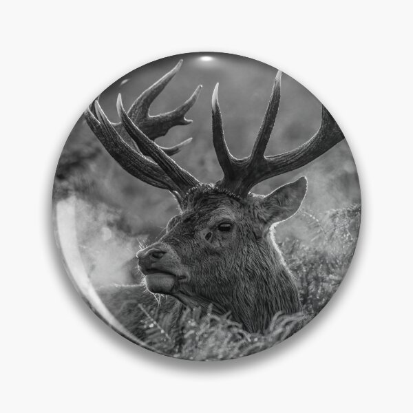 Item preview, Red Deer Stag designed and sold by Steve Liptrot Photography.