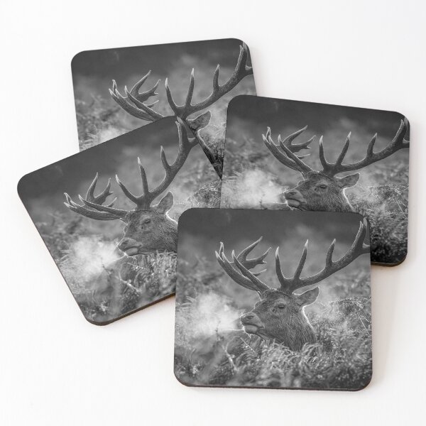 Item preview, Red Deer Stag designed and sold by Steve Liptrot Photography.