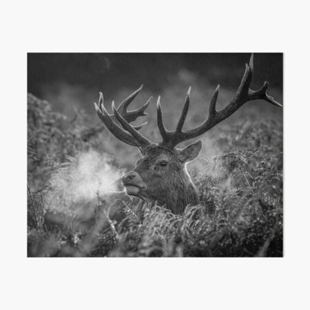 Fall Deer Watercolor PRINT Animal Lovers Fall Leaves Woodland Creature Stag Autumn