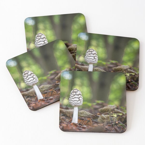 Item preview, Magpie Inkcap (Coprinopsis picacea) designed and sold by Steve Liptrot Photography.