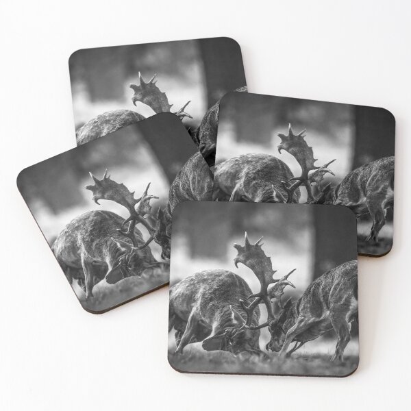 Item preview, Fallow Deer Fight designed and sold by Steve Liptrot Photography.