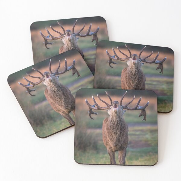 Item preview, Bellowing Red Deer Stag designed and sold by Steve Liptrot Photography.