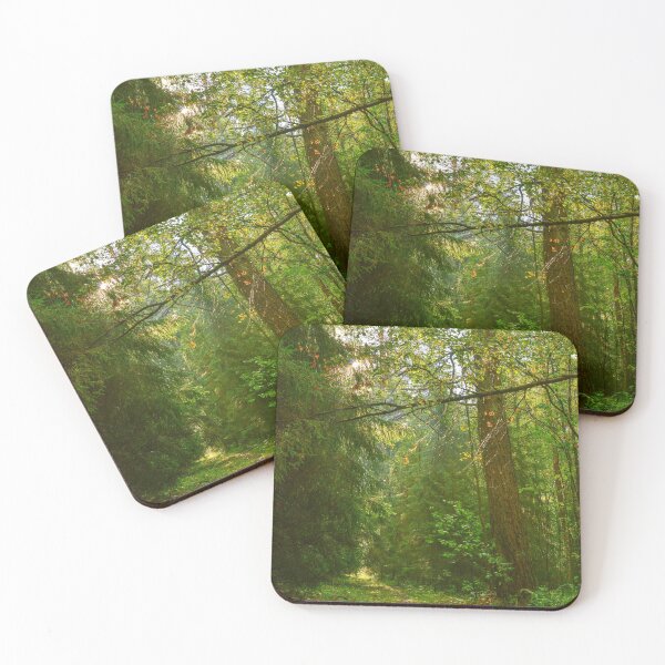 Item preview, Forest trail in the morning sunlight designed and sold by yarvin13.