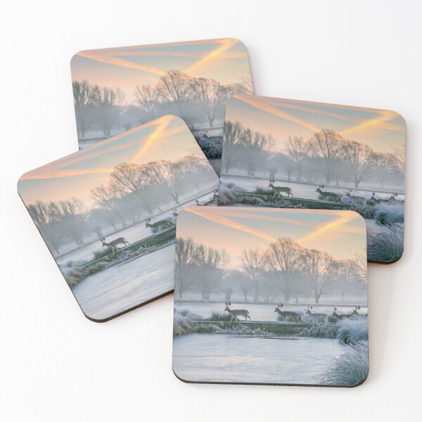 Item preview, Winter in Bushy Park designed and sold by Steve Liptrot Photography.