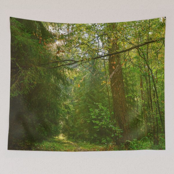 Item preview, Forest trail in the morning sunlight designed and sold by yarvin13.