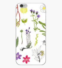 Herbarium / Herbier #2 iPhone Case