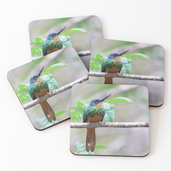 Item preview, Rufous-tailed Jacamar (Galbula ruficauda) perched on a branch designed and sold by Rafael  Cerqueira.