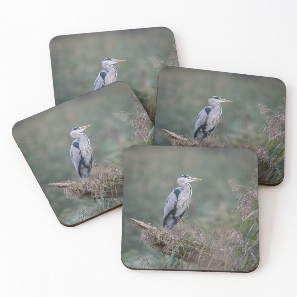 Item preview, Grey heron (Ardea cinerea) designed and sold by Steve Liptrot Photography.
