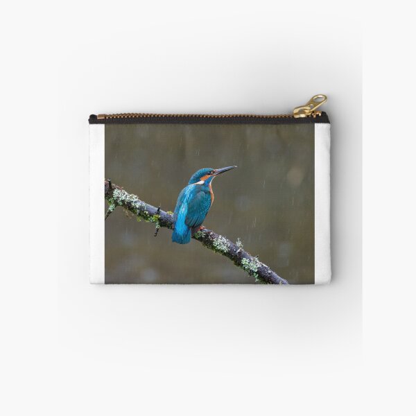 Item preview, Common kingfisher (Alcedo atthis) designed and sold by Steve Liptrot Photography.