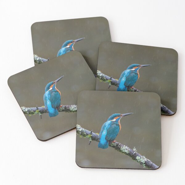Item preview, Common kingfisher (Alcedo atthis) designed and sold by Steve Liptrot Photography.