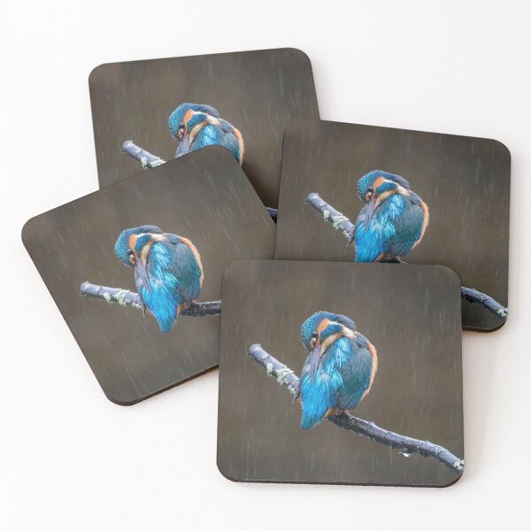 Item preview, Common kingfisher (Alcedo atthis) designed and sold by Steve Liptrot Photography.