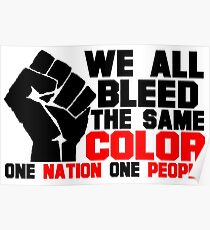 ONE NATION ONE PEOPLE- USA Poster