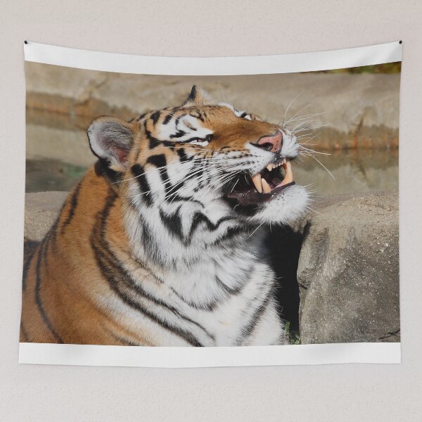 Item preview, You're Starting to Piss Me Off. designed and sold by DocSaunders.
