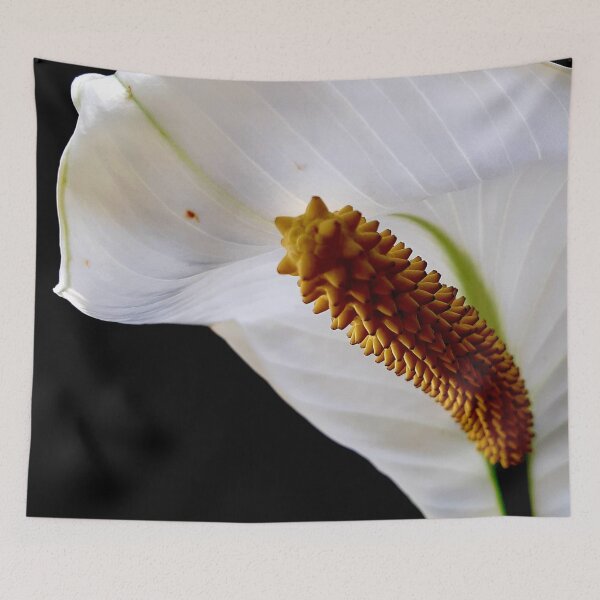 Item preview, Julie's Flower - View 2 designed and sold by Geoff Treagus.