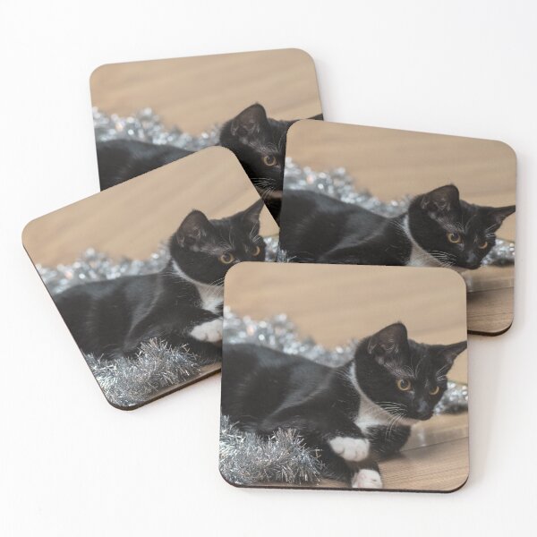 Item preview, Tuxedo Kitten Tinsel and Lights designed and sold by mljdwhite.
