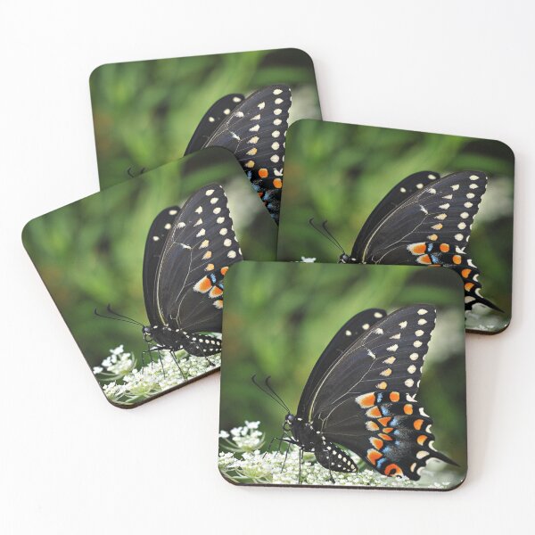 Item preview, Sitting Pretty designed and sold by inlightimagery.